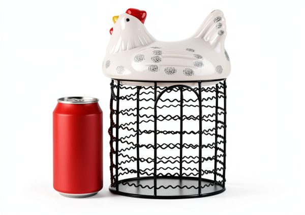 Hiceeden Egg Basket White Metal Wire Chicken Lid Kitchen-1