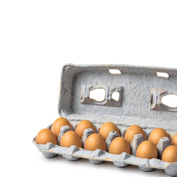 Custom Printed Egg Cartons by MT Products-4