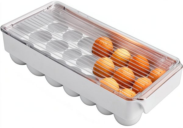 InterDesign Egg Holder Plastic 21 Egg Capacity with Lid-0