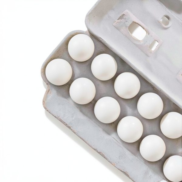 Custom Printed Egg Cartons by MT Products-3