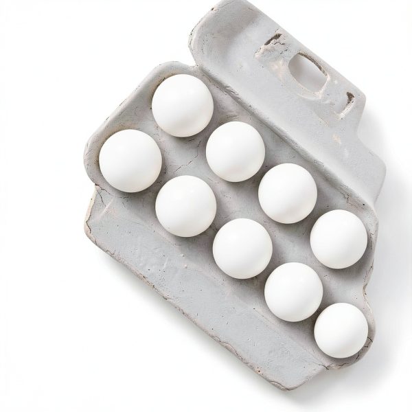 Egg Cartons by MT Products Standard Beige-1