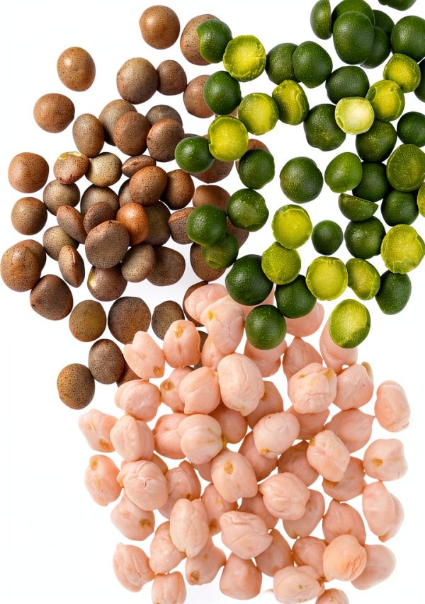Palouse Brand Dried Garbanzo Beans Certified Glyphosate Free-2