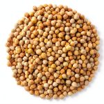 Organic Garbanzo Beans Primal Harvest Dried Raw Chickpeas-0