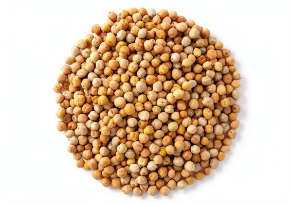 Organic Garbanzo Beans Primal Harvest Dried Raw Chickpeas-0