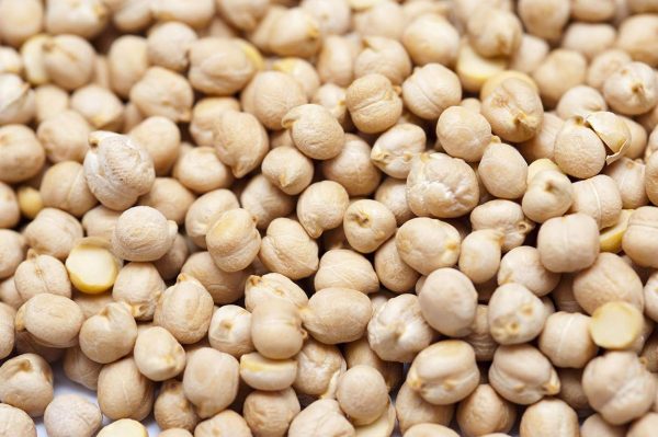 Organic Garbanzo Beans Primal Harvest Dried Raw Chickpeas-2