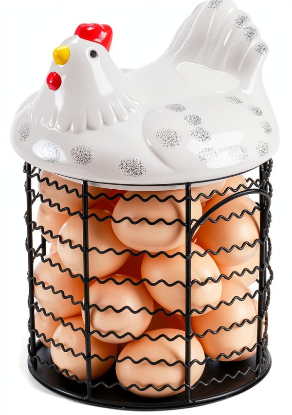 Hiceeden Egg Basket White Metal Wire Chicken Lid Kitchen-2