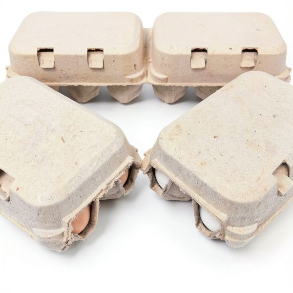 Pecking Order Paper Egg Cartons for Kitchen-5